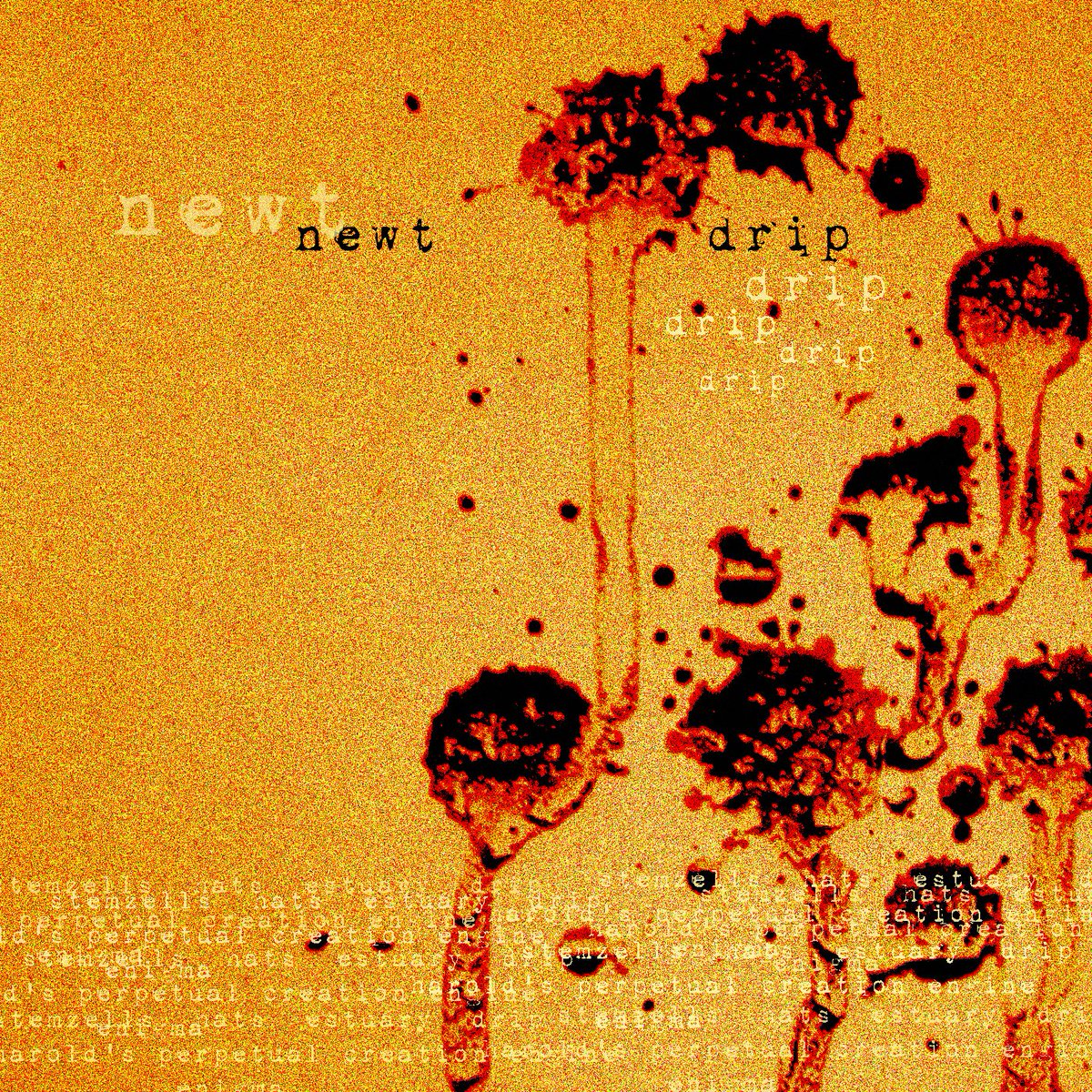 Finally! 5 years later... Fresh new material from NeWt!! Pre-release on Bandcamp only. Officially out April 2 on all platforms. tinyurl.com/2dw3e3jf special guest @j_d_griff get over and check it!