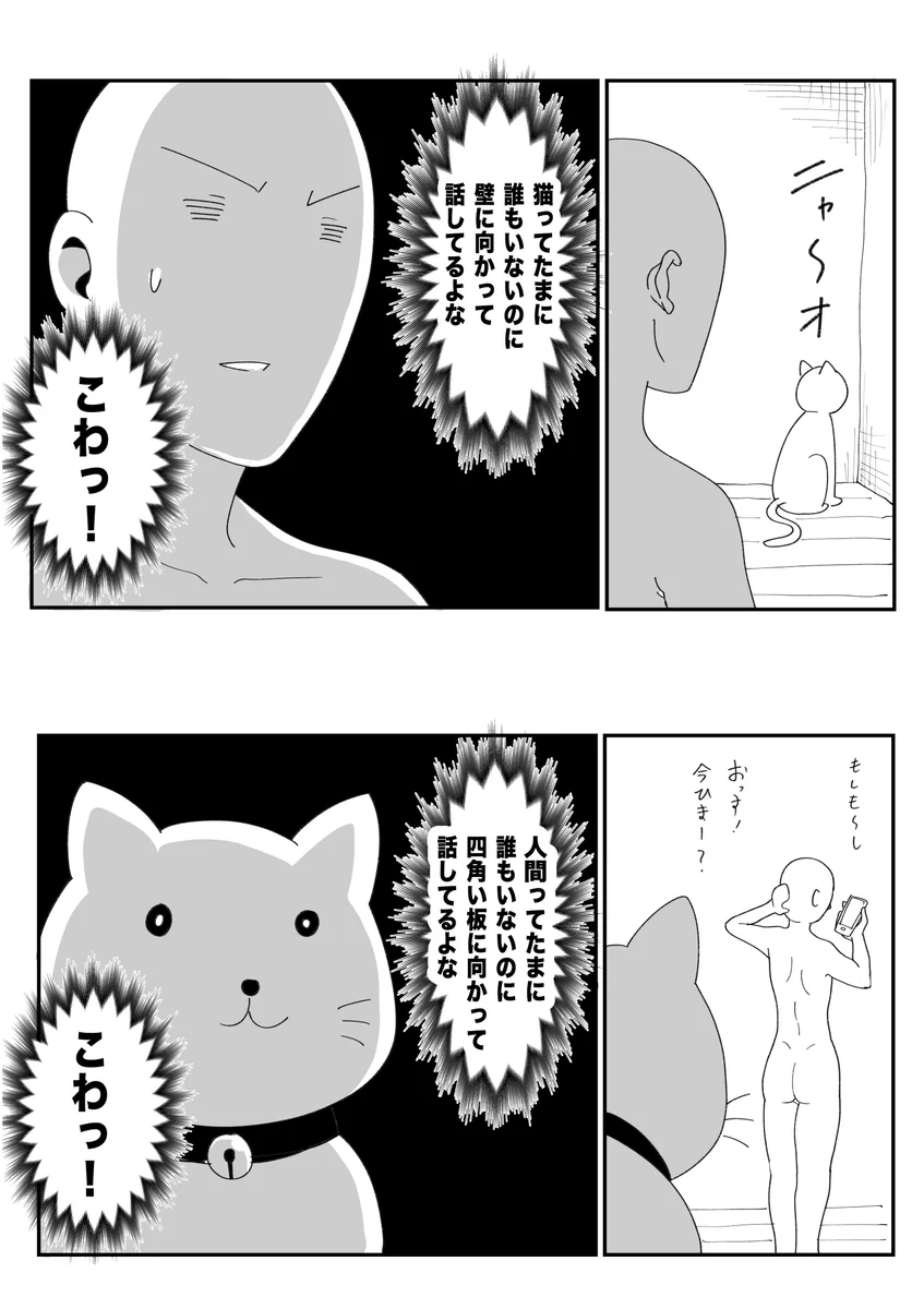 ほんとにこう思われてる可能性も？www壁に話しかける猫と板に話しかける人間！www