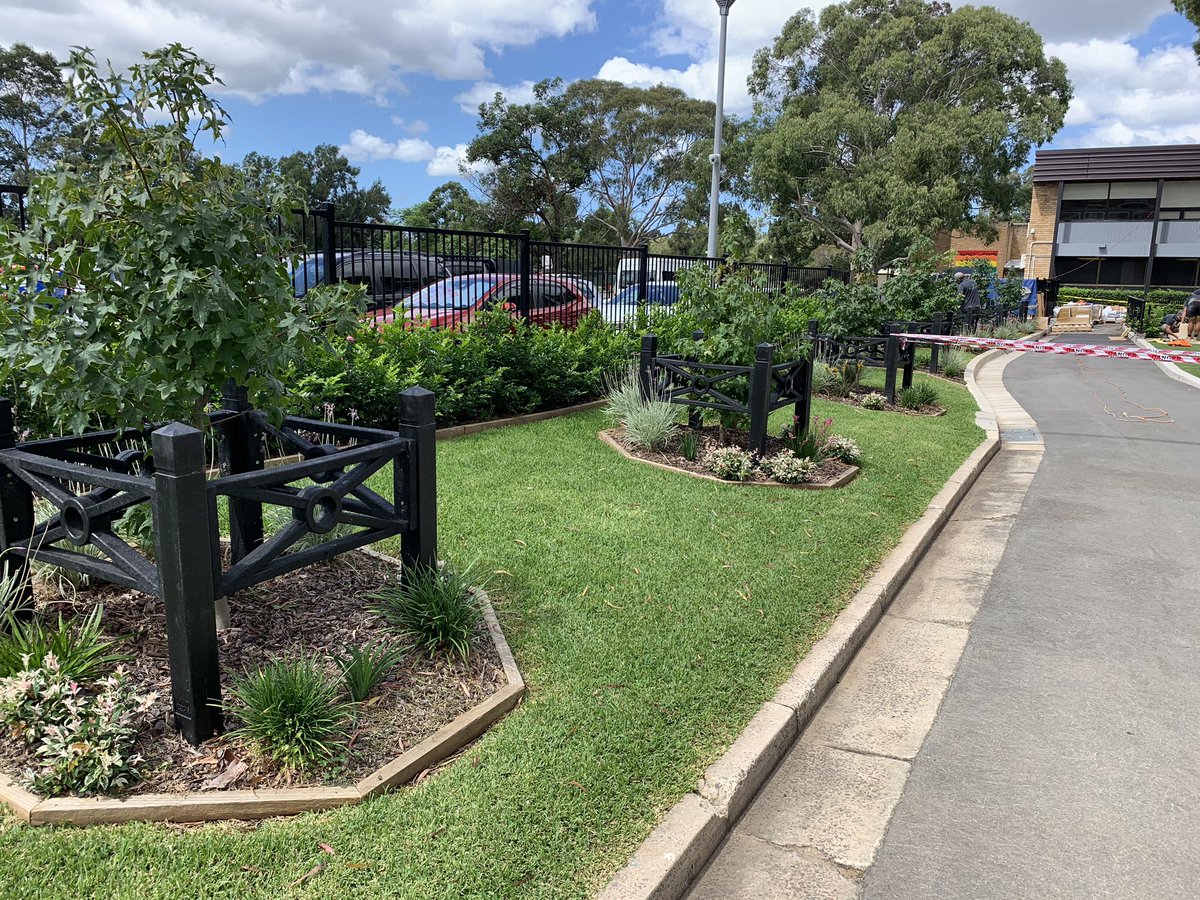 Dawe4Peter's tweet photo. The appeal of a school entrance can positively impact both teachers &amp; students each day The GA at #MillerTechHS is a champion and takes great pride in the aesthetics of the school - he’s also creating a green corridor along the boundary &amp; added these 12 #Eucalyptus sideroxylon https://t.co/I9OrgqHd8i