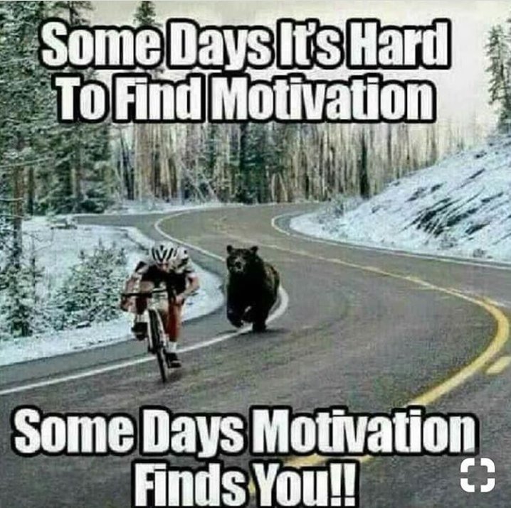 garymorgan111's tweet image. Yes exactly 👍