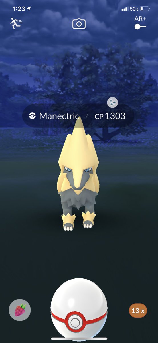 KamiRaging's tweet photo. First mega raid and first shiny!!!! #shiny #shinypokemon https://t.co/KcYWIRB9BQ