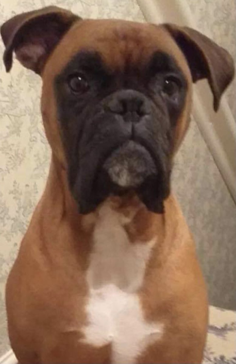 Shany Hagan tweet media