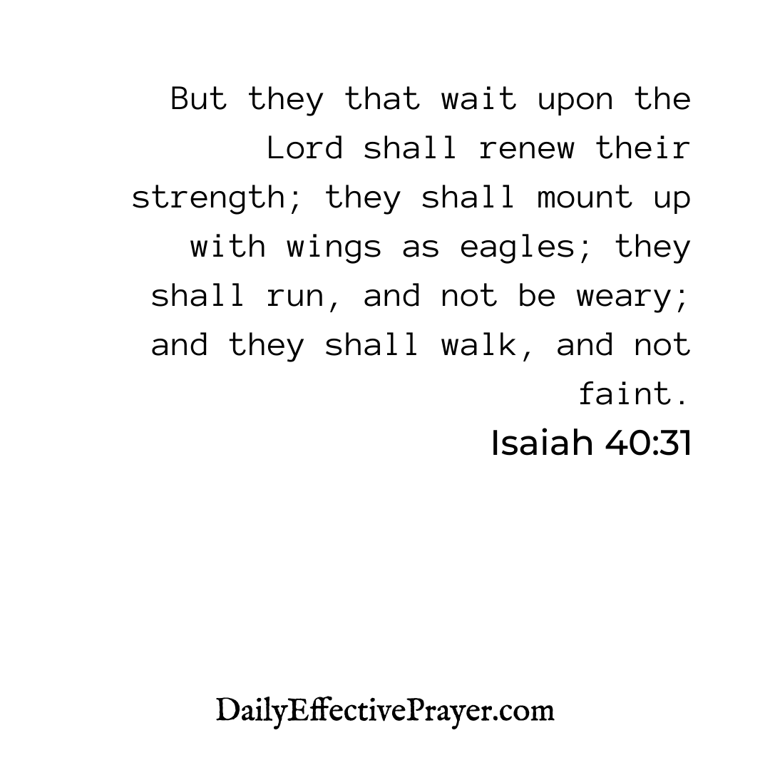 DailyEffectiveP's tweet photo. God will give you the strength you need! 💪 AMEN if you believe it!
#prayeristhemasterkey #prayerrevival #prayerkeeper #prayermovement #prayerfirstbeforeanything #prayerquotesfortoday #ipraydaily #prayerneeded #eveningprayers🙏 #iprayforbetterdays #prayerteacher https://t.co/UiNQ7fAbFg