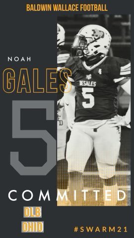 Committed 🤎💛