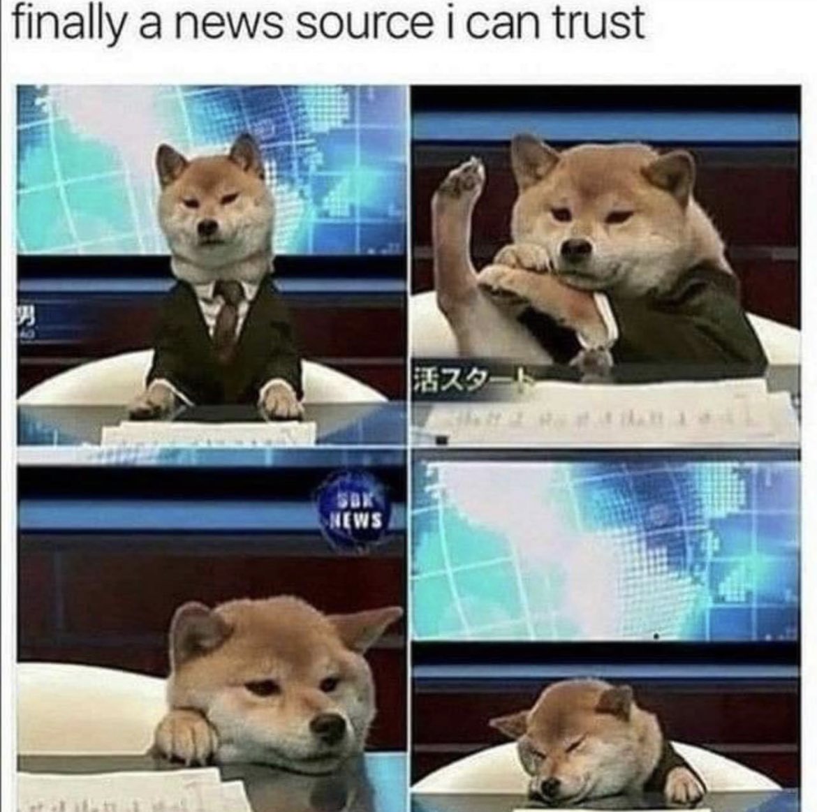 Respectful Memes (@respectfulmemes) on Twitter photo 