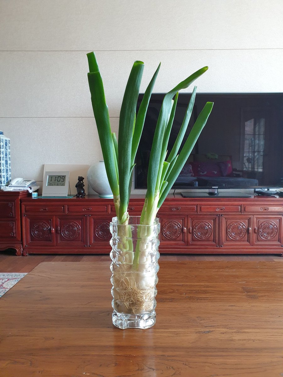 주역이정(김영회) (@ygas2d) on Twitter photo 