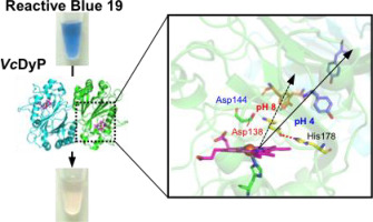北大構造化学研究室 Kozokagaku Twitter