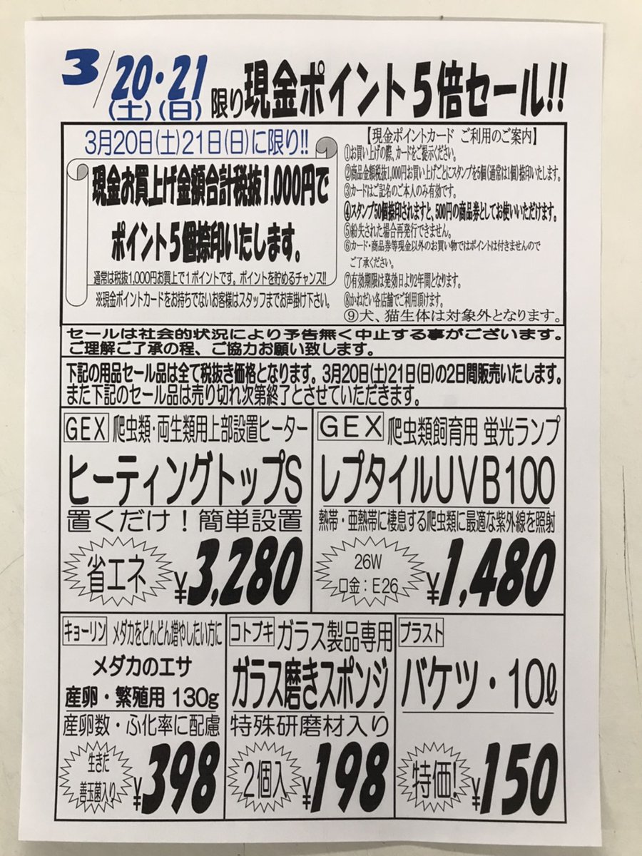 かねだい 海老名店 3月日 土 21日 日 セール内容になります 今回は日 土 にも生体セールがありますので是非