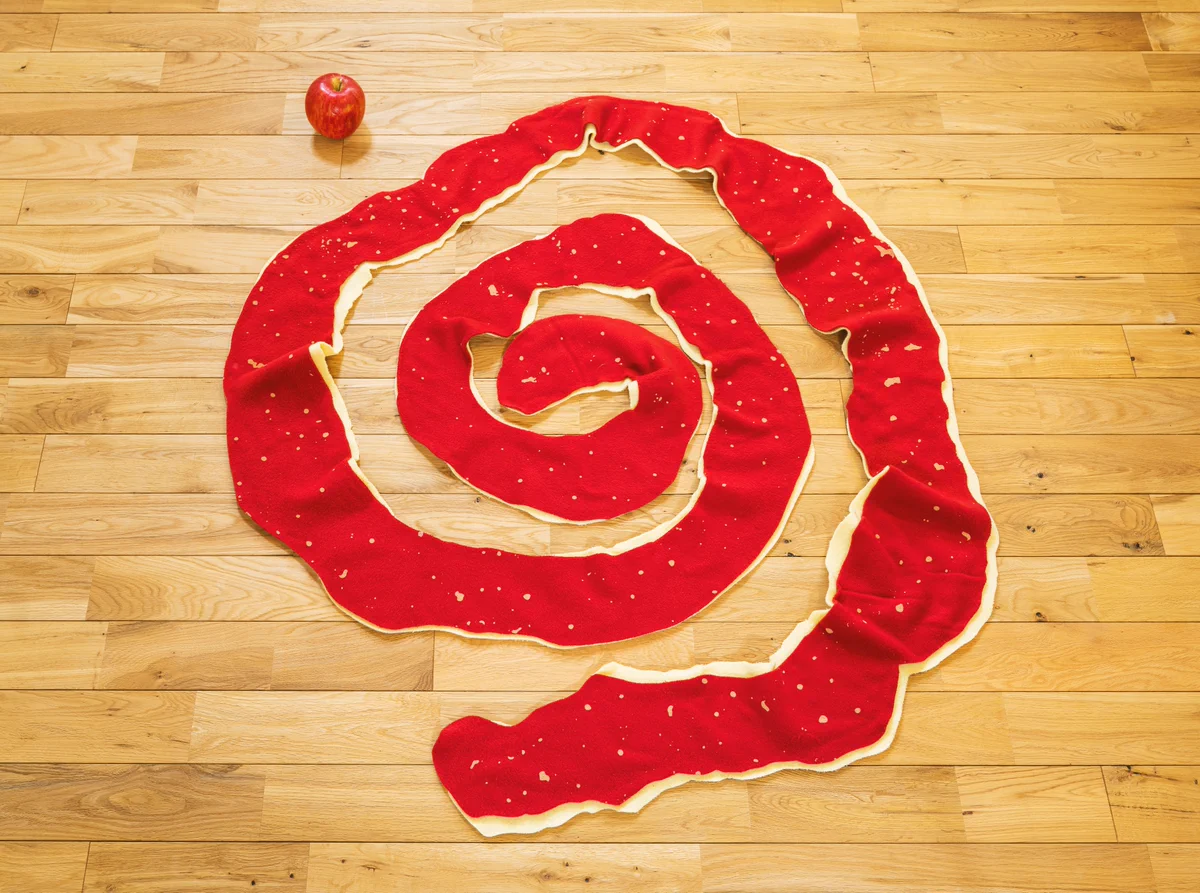 リンゴ好きにオススメ？りんごの皮をモチーフにした「りんごの皮マフラー」www