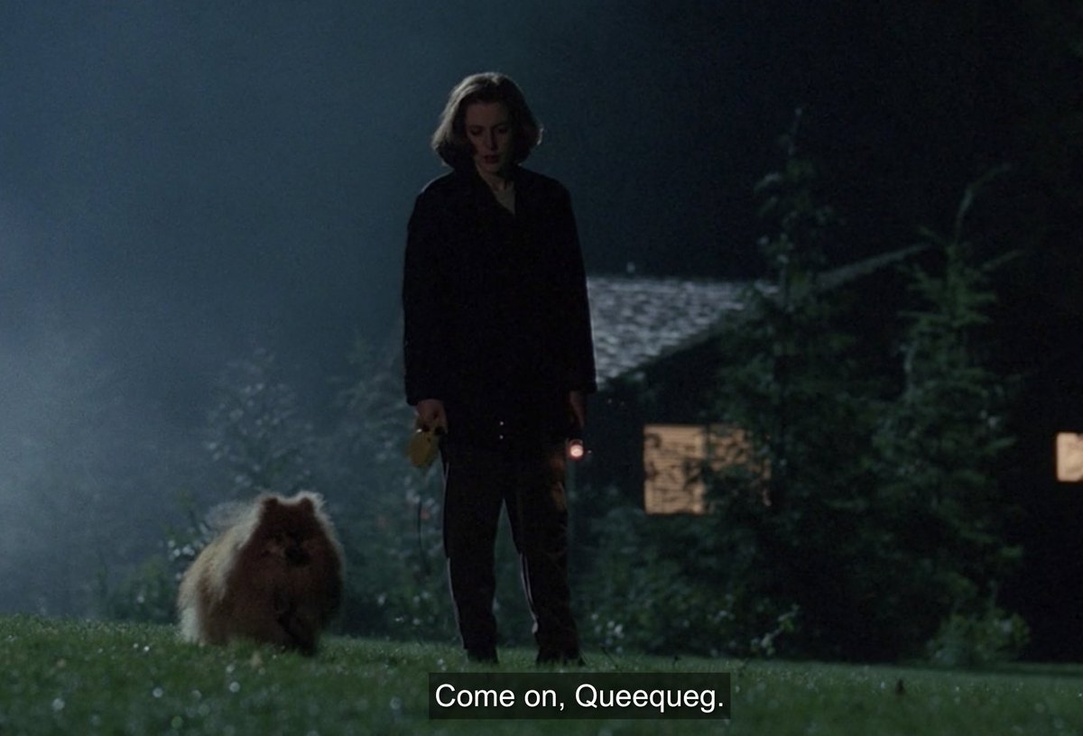 oh we love star of the x-files, quuequeg