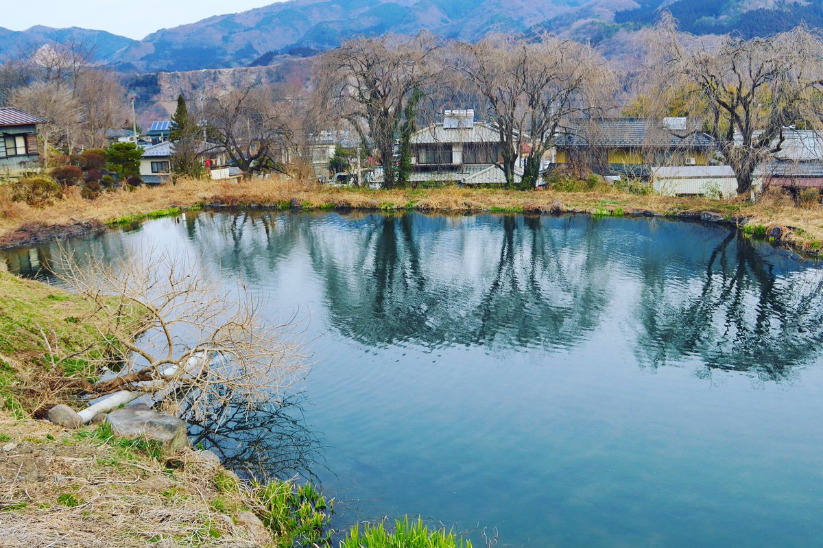 あづま養魚場 今は使ってない池 昔ここは管理釣り場として使ってた池でやーす 逃げた魚がたまぁにいるので 釣りして遊んでます笑 この前はニジマスが釣れました あづま養魚場 釣り堀 群馬観光 群馬 イワナ アクアリウム 養殖 食堂 草津温泉