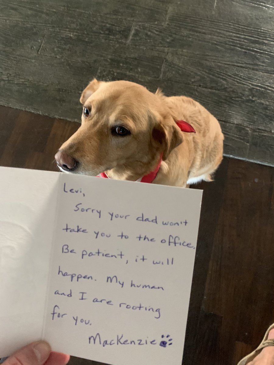 LeviForOffice's tweet image. day summary

pls play my pie bracket is rd 2


makenzie @Paint1963 send me v beautiful card

#DebForInterior !!! 

i has no more can’t evens for ppls not understanding sarcasm 🙄

snoozles ilu💙
#LeviForOffice #FettermanForSenate