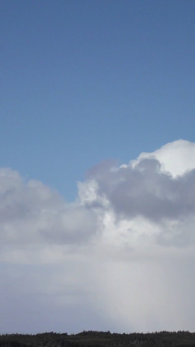 Saw this kitty cloud today 😸 #kitty #cloud #CatsOfTwitter