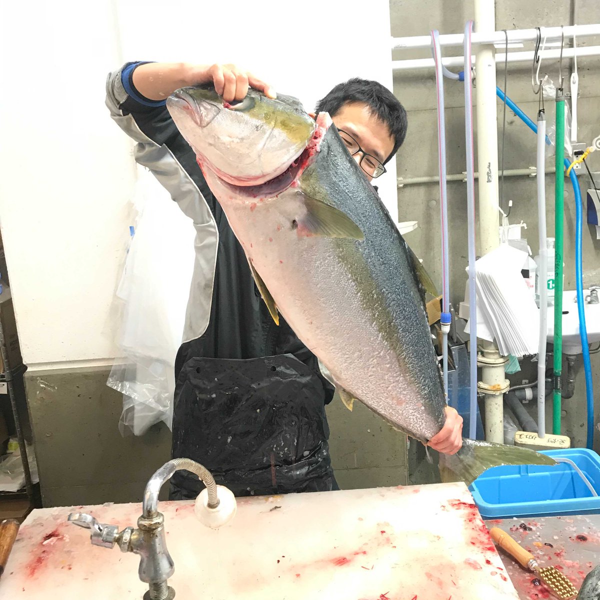 飲食店の鮮魚仕入れサイト 魚ポチ Uopochi Twitter