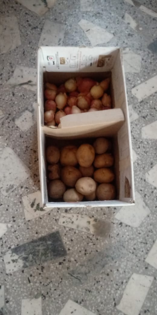 dashora2's tweet image. I #PledgeToReuse best storage boxes out of the packages delivered!! Thanks @amazonIN