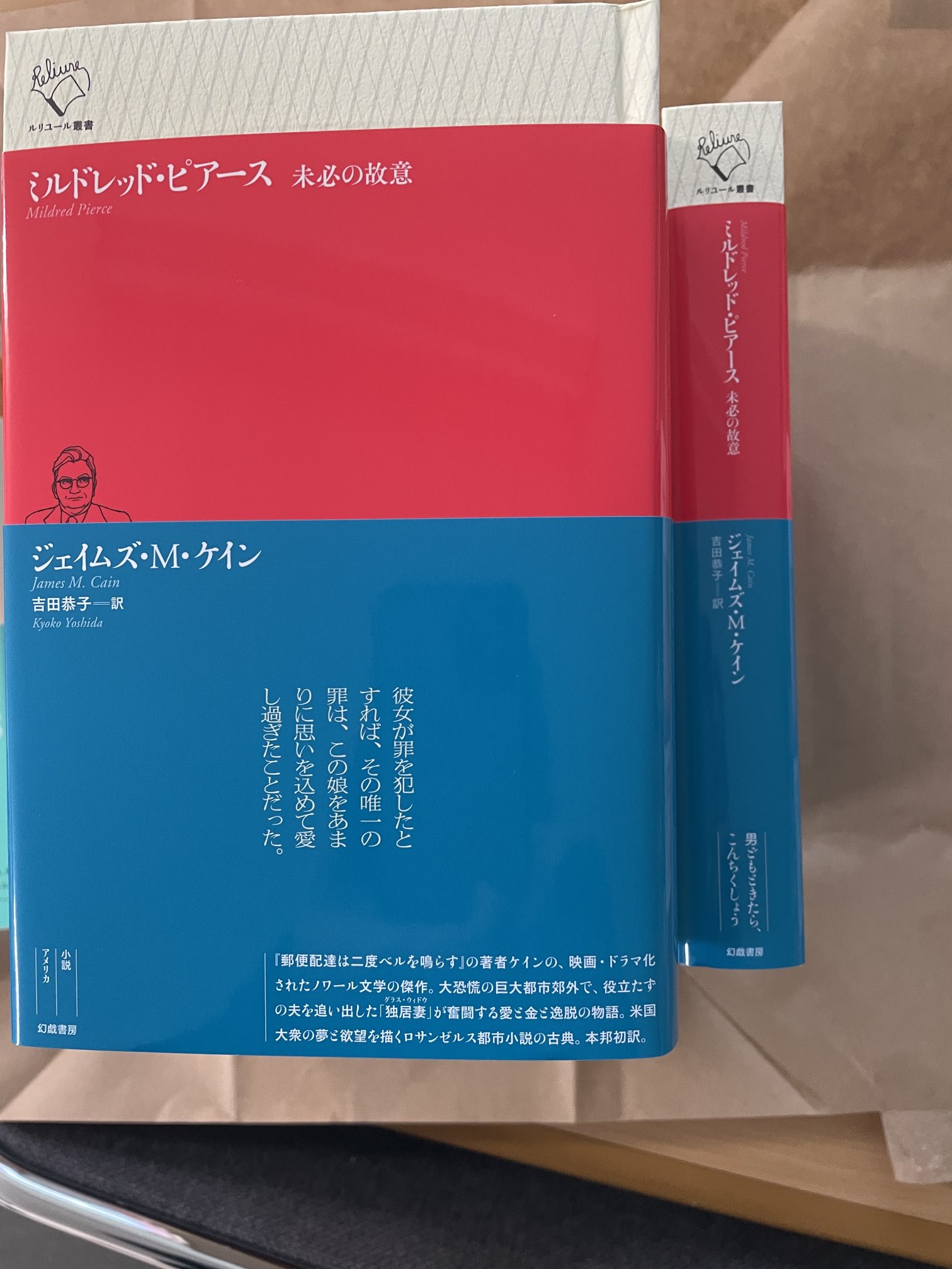 幻戯書房 ルリユール叢書 ジェイムズ M ケイン ミルドレッド ピアース 未必の故意 吉田恭子 訳 の見本が納品されました 24日出荷開始 これでアメリカ文学は ノリス マクティーグ サンフランシスコの物語 高野泰志 訳 オルコット 仮面の陰に