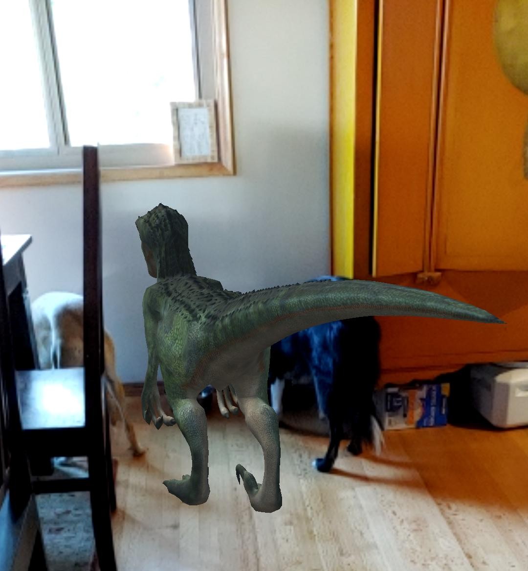 TanzoshA's tweet photo. @IPtechAR Our third dog. https://t.co/gIZCYGsdaZ