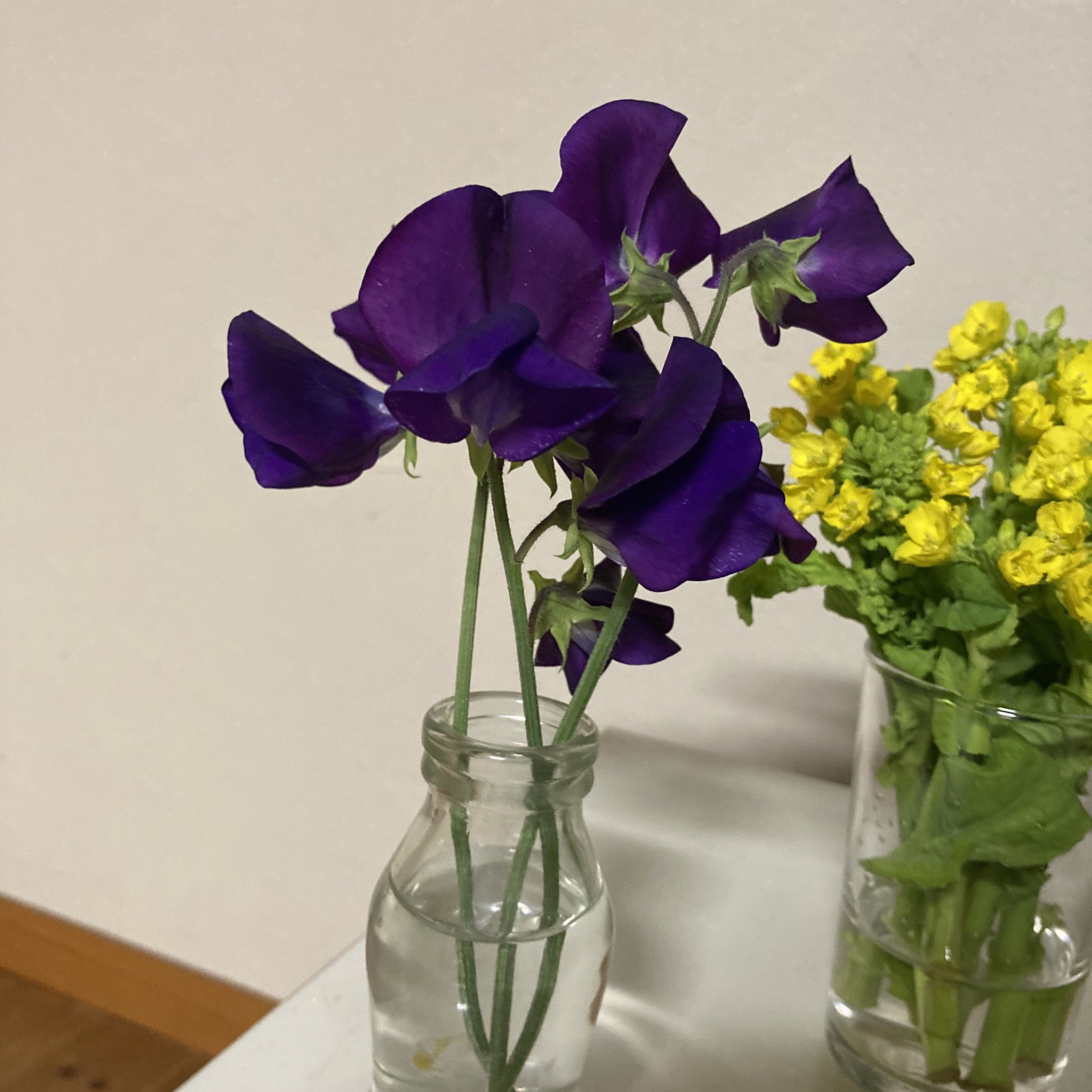 スイートピーの花言葉 Twitter Search Twitter