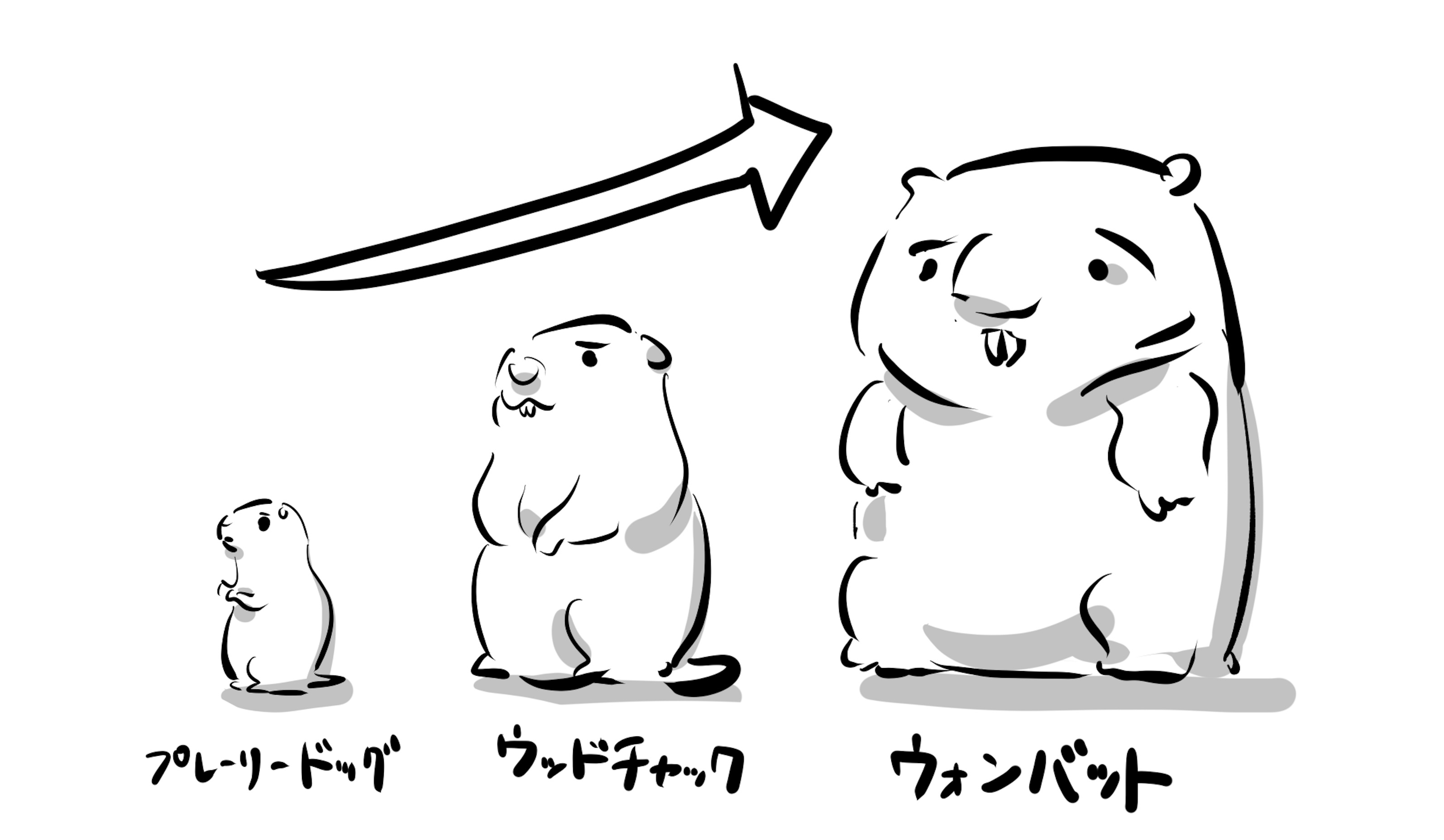 リック 𝐑𝐈𝐂𝐊 ペシはポケモン進化でいうときっとここだけど ウォンバット様には進化させないでお前と共に戦うぜ コロッケの妖精ペッシ T Co Vxsmknzdcg Twitter