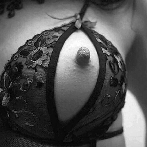 𝕋𝕒𝕣𝕠𝕦𝕜 tweet media