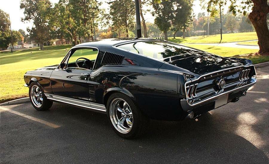 chadgregory3's tweet photo. @jjsmokkieBOY57 @SleepyCongress1 @Sloths7777 I’m only sinister when I’m cruising around in Beatrice! Alas Beatrice! And she’s close friends with 520 horses! https://t.co/8V5wpZUIZM