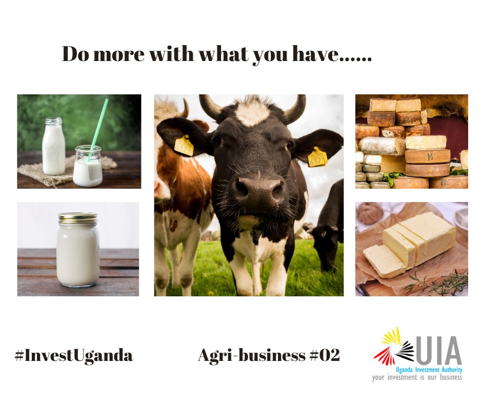 Uganda Investment Authority (@ugandainvest) on Twitter photo ๐๐ฌ ๐๐ ๐ซ๐ข๐๐ฎ๐ฌ๐ข๐ง๐๐ฌ๐ฌ ๐ฌ๐จ๐ฆ๐๐ญ๐ก๐ข๐ง๐ ๐ฒ๐จ๐ฎ ๐๐ซ๐ ๐๐จ๐ง๐ฌ๐ข๐๐๐ซ๐ข๐ง๐ ?
The opportunities are endless! From agro-processing to manufacturing inputs, & supplying agricultural machinery & so on.
More: bit.ly/36wCcwE
<a href="/MAAIF_Uganda/">MAAIF ๐บ๐ฌ</a> <a href="/unffe/">Uganda National Farmers Federation</a> @ ๐๐ฌ ๐๐ ๐ซ๐ข๐๐ฎ๐ฌ๐ข๐ง๐๐ฌ๐ฌ ๐ฌ๐จ๐ฆ๐๐ญ๐ก๐ข๐ง๐ ๐ฒ๐จ๐ฎ ๐๐ซ๐ ๐๐จ๐ง๐ฌ๐ข๐๐๐ซ๐ข๐ง๐ ?
The opportunities are endless! From agro-processing to manufacturing inputs, & supplying agricultural machinery & so on.
More: bit.ly/36wCcwE
<a href="/MAAIF_Uganda/">MAAIF ๐บ๐ฌ</a> <a href="/unffe/">Uganda National Farmers Federation</a> @