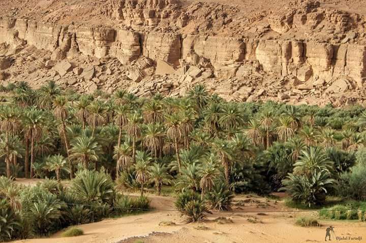 DzMonuments's tweet photo. #��وزفانة #بشار
#Béchar
🇩🇿🇩🇿🇩🇿🇩🇿🇩🇿🇩🇿🇩🇿🇩🇿🇩🇿
#الجزائر #Algérie #Algeria https://t.co/puDgNb1219