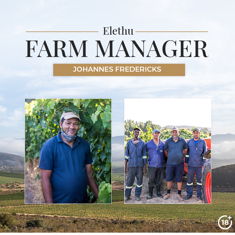 Under the leadership of Johannes Fredericks, Elethu's farm manager, the farm has taken form and has developed so much.

They focus on producing top quality, premium wines that respect the fruit and showcases the region’s unique terroir.

#Elethu #BonnievaleWines