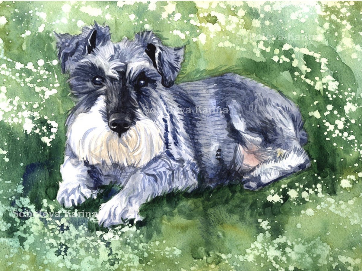 Commemorate your furry family member with a #watercolor portrait. All #paintings are custom made. For more info email soboleva.kar@gmail.com #Dogportraitcustom @paintingfromphoto 
#CustomPetPortrait #dot #Painting