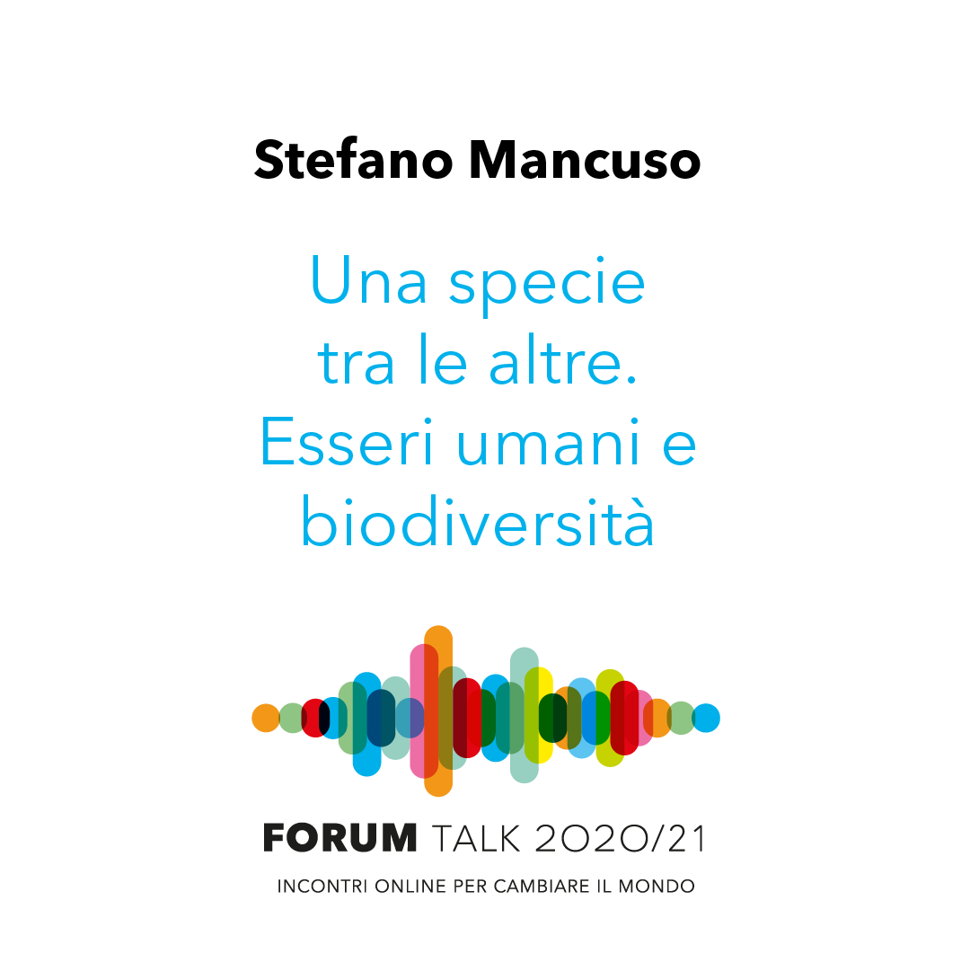 coopalleanza's tweet photo. Hanno molto da insegnarci sull'uso dell'energia e sono i nostri antenati: giovedì 18 marzo a #Forumtalk parliamo della intelligenza delle piante con uno dei massimi esperti italiani Stefano Mancuso, botanico, che in tanti già conoscono per la sua attività divulgativa. https://t.co/avl9uGjoIV