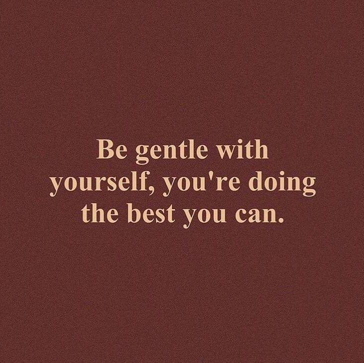 rprecsol's tweet photo. ✨ https://t.co/Pl6Bz7HAdE