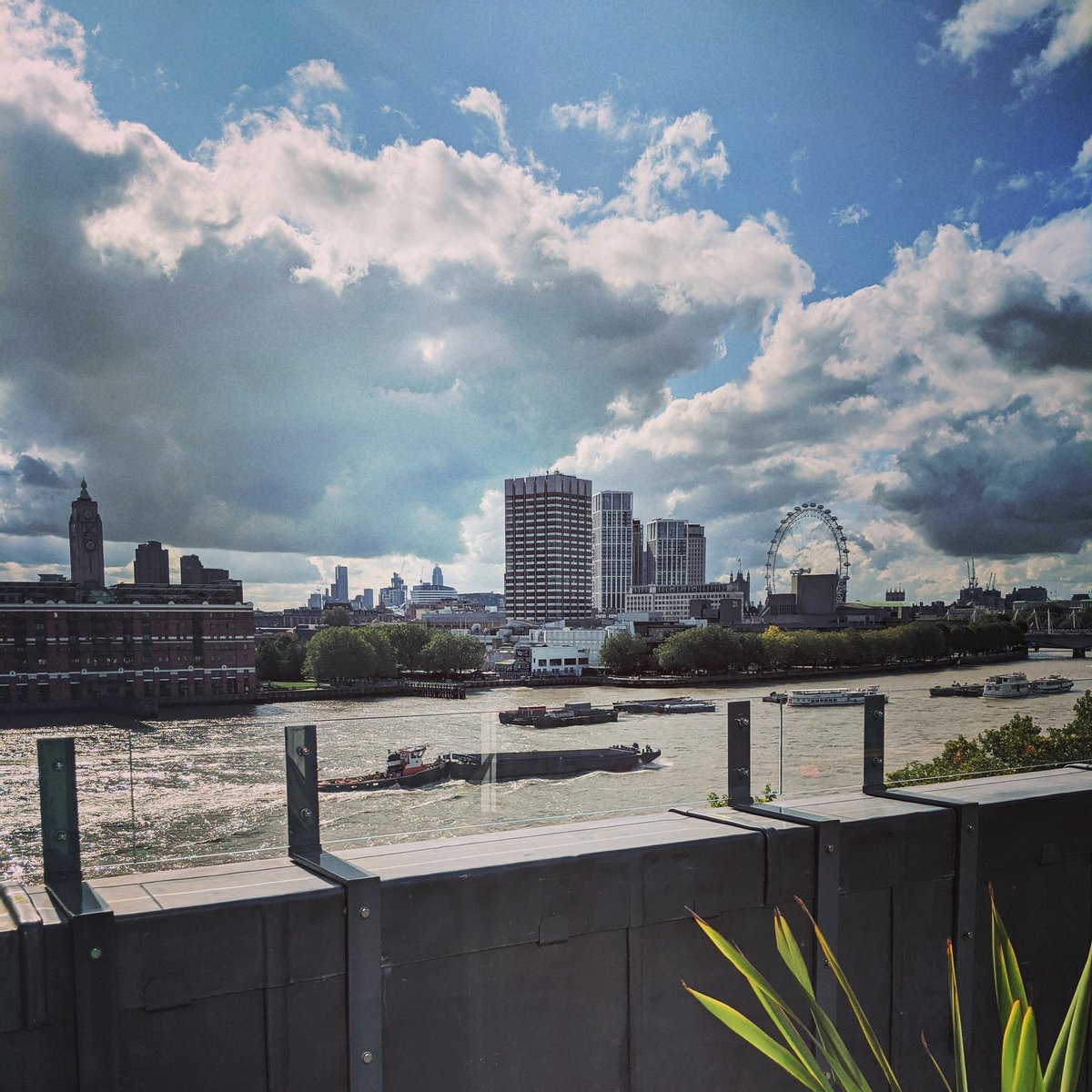 Ruth Neale tweet media