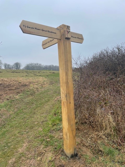 walesbotanic's tweet photo. Rydym wedi bod yn brysur ar safle #adfer y parcdir, gan osod arwyddion cyfeiriadol a rheiliau pren.
Allwn ni ddim aros i ddangos ein trawsnewidiad 5 mlynedd anhygoel i'n hymwelwyr!
#Diolch i chwaraewyr y #LoteriGenedlaethol a @HeritageFundCYM am wneud hyn yn bosibl!
#GarddCymru https://t.co/Y3hxvJmsG6