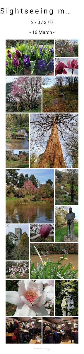 NorthDevonDoes tweet media