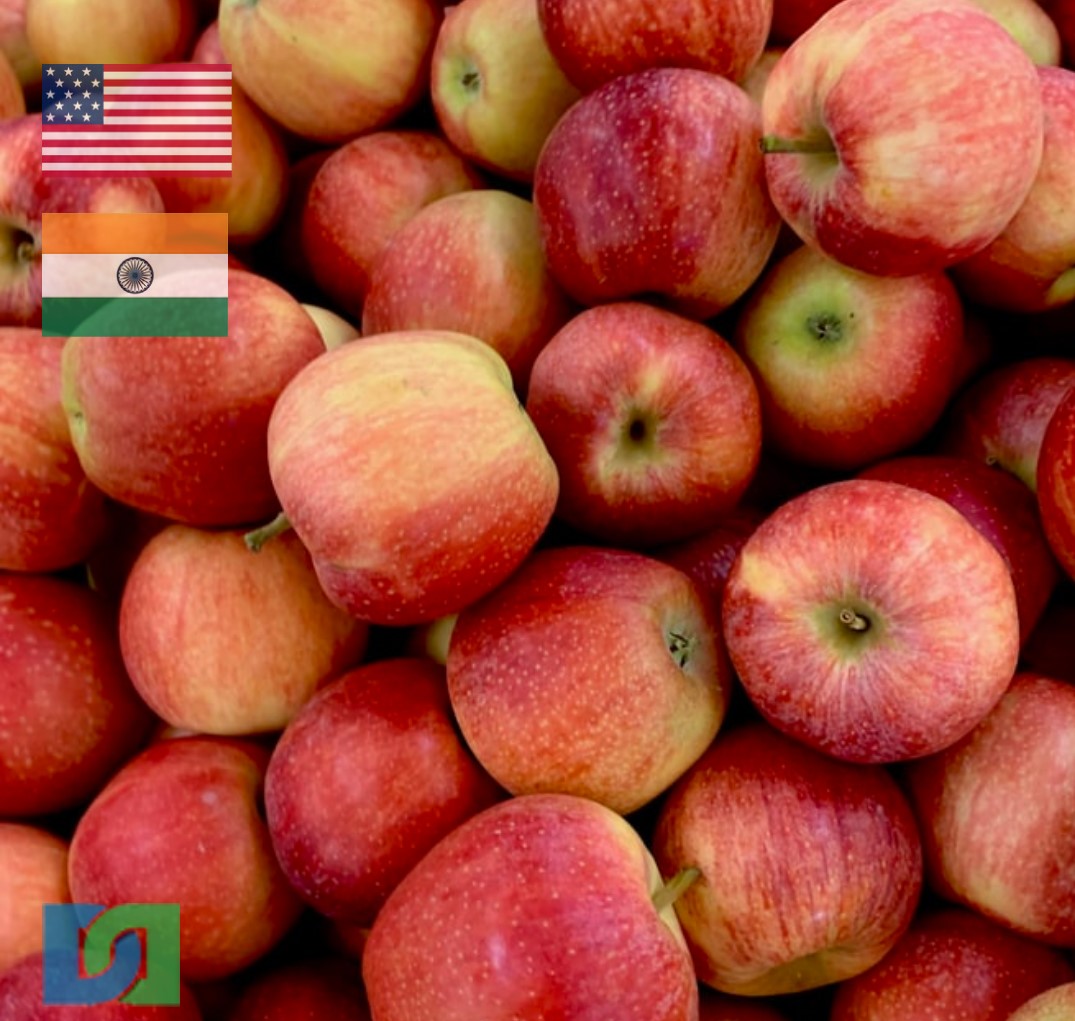 Traddle's tweet photo. In #India, under the new law enacted by FSSAI, the import regulations are required to be certified as Non-GMO, Fruits like #Apples come under this category where every consignment must carry a ‘non-GM origin cum GM-free certificate’ this might affect the #US-India trade in Apples https://t.co/WR8pjSbUCs