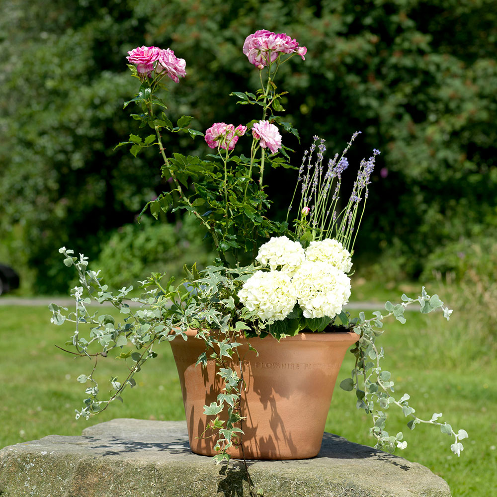 Here at Beetham Nurseries, we have a large selection of Outdoor Pots, suitable for all plants great and small. We have now added a selection of these pots to our online shop, so that you can shop from the comfort of home. 

Shop Now - shop.beethamnurseries.co.uk/garden-outdoor…