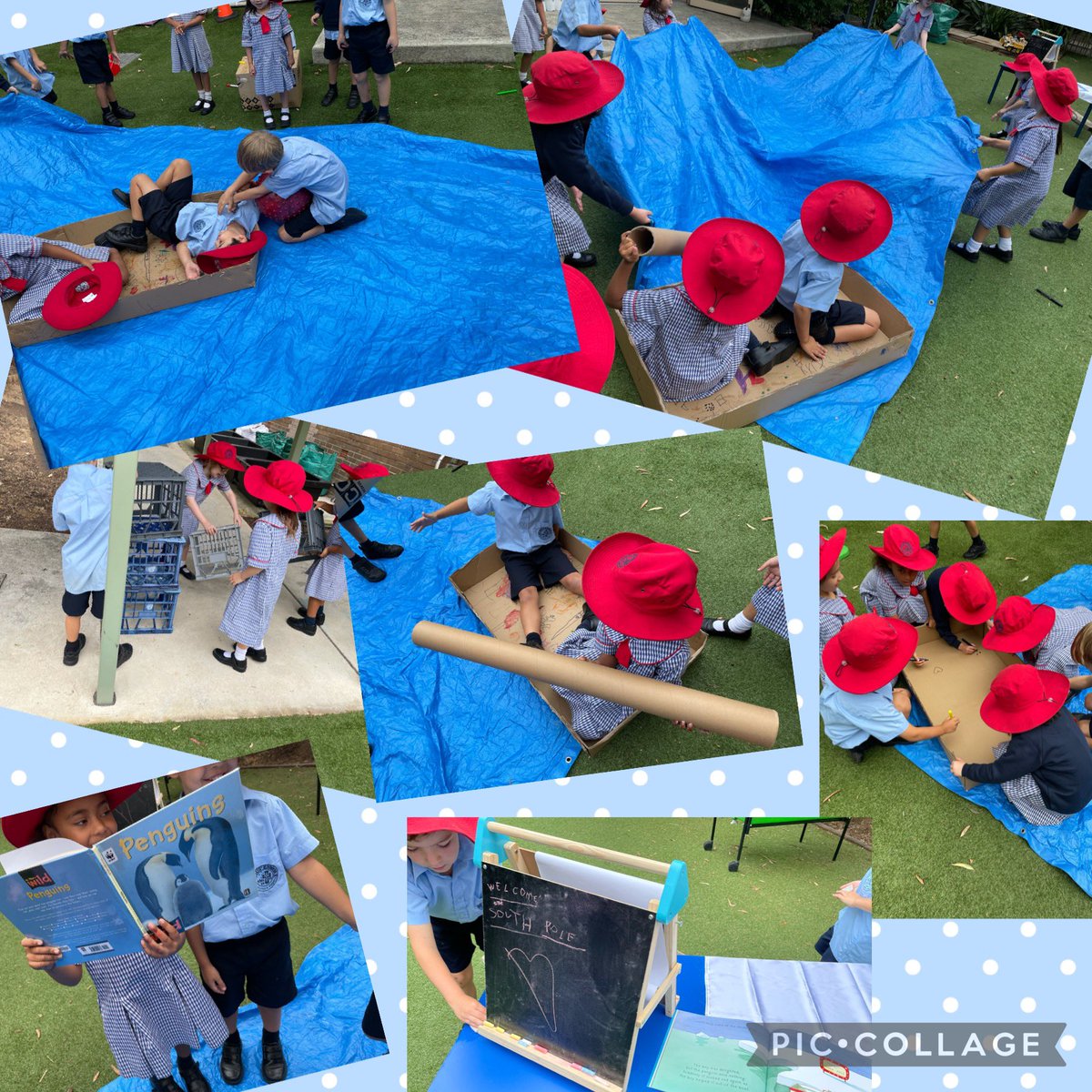 KindyStPius's tweet photo. To finish off our topic, we acted out our story maps using anything we could find! Kindy were very creative, discussing how milk crates could be a house, a tarp the ocean and a cardboard box a boat! We LOVED acting out the dilemma by making waves with the tarp! #creative #kindy https://t.co/T6qIDKbfDm