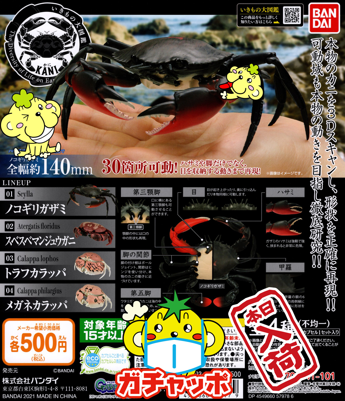 ガチャガチャ専門店 ガチャッポ 公式 再入荷 いきもの大図鑑 Kani かに 本物のカニを3dスキャンし 正確に再現 可動域も本物の動きを目指し徹底研究 ノコギリガザミ 全幅約140mm 30箇所可動 いきもの大図鑑 スベスベマンジュウガニ