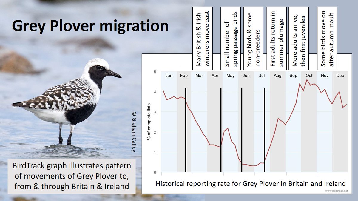 Graham Appleton tweet media