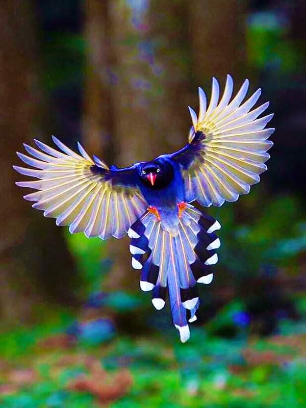 marwilliamson's tweet image. No words.