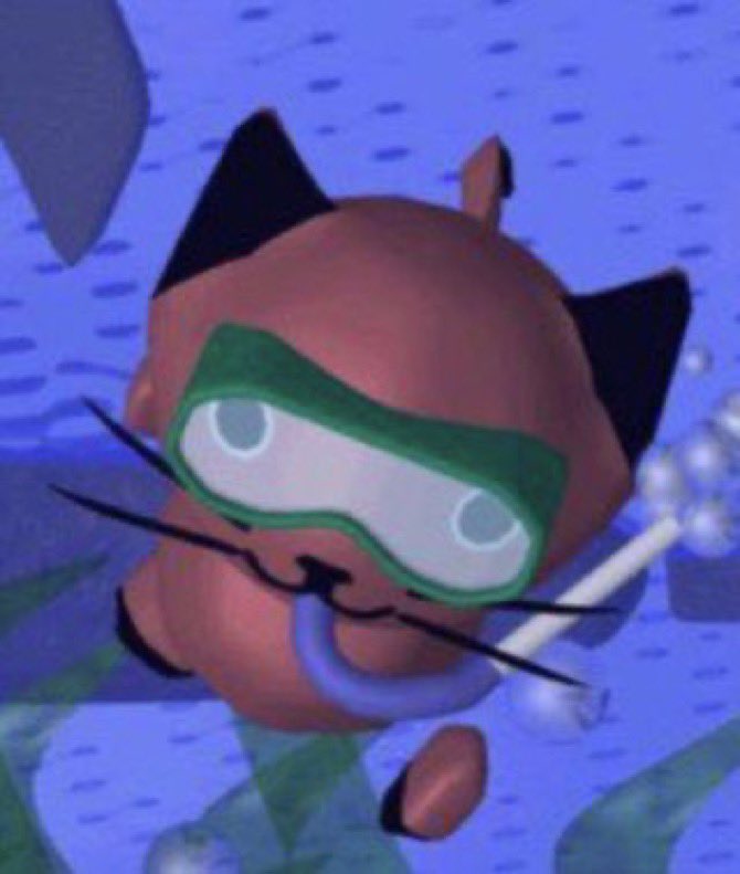 sapari cat (@saparicat) on Twitter photo 