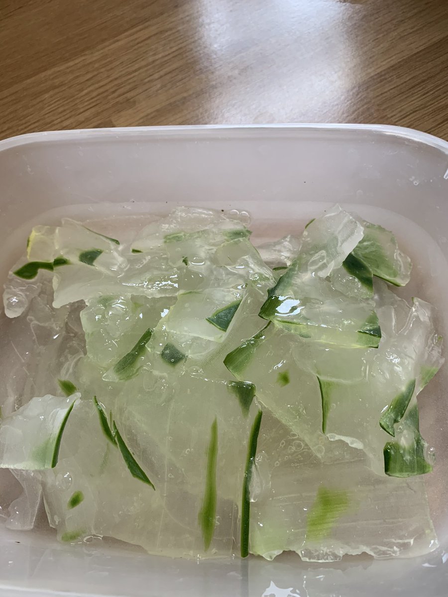missyangandyin's tweet photo. Do you have a #aloevera growing at home and not sure what to do with it? 
I use mine in my #dailysmoothie 
So much #healthbenifits 
Watching it grow, feeding it #filteredwater and then in turn feeding yourself. #organiclifestyle 
Mine’s all cut up ready to store in fridge to use https://t.co/90TdTmfq2e