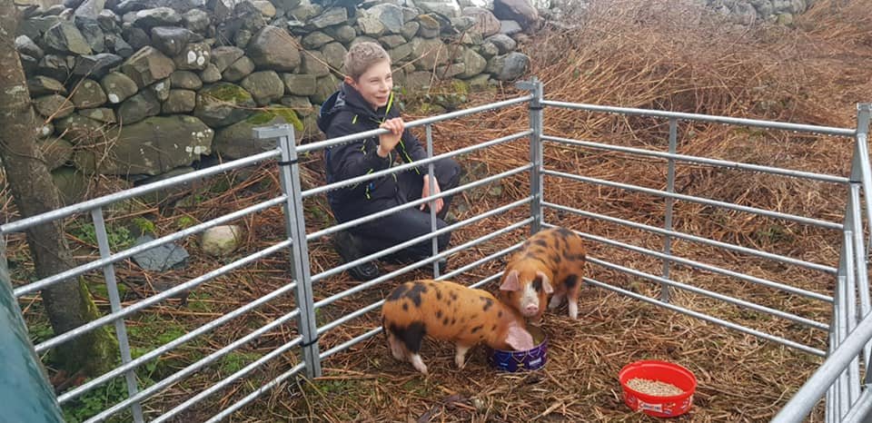OxfordPig's tweet photo. Getting the younger generation involved with #OSBPigs is just pigtastic!  #OSBPG #education https://t.co/lWPrFiVYLc