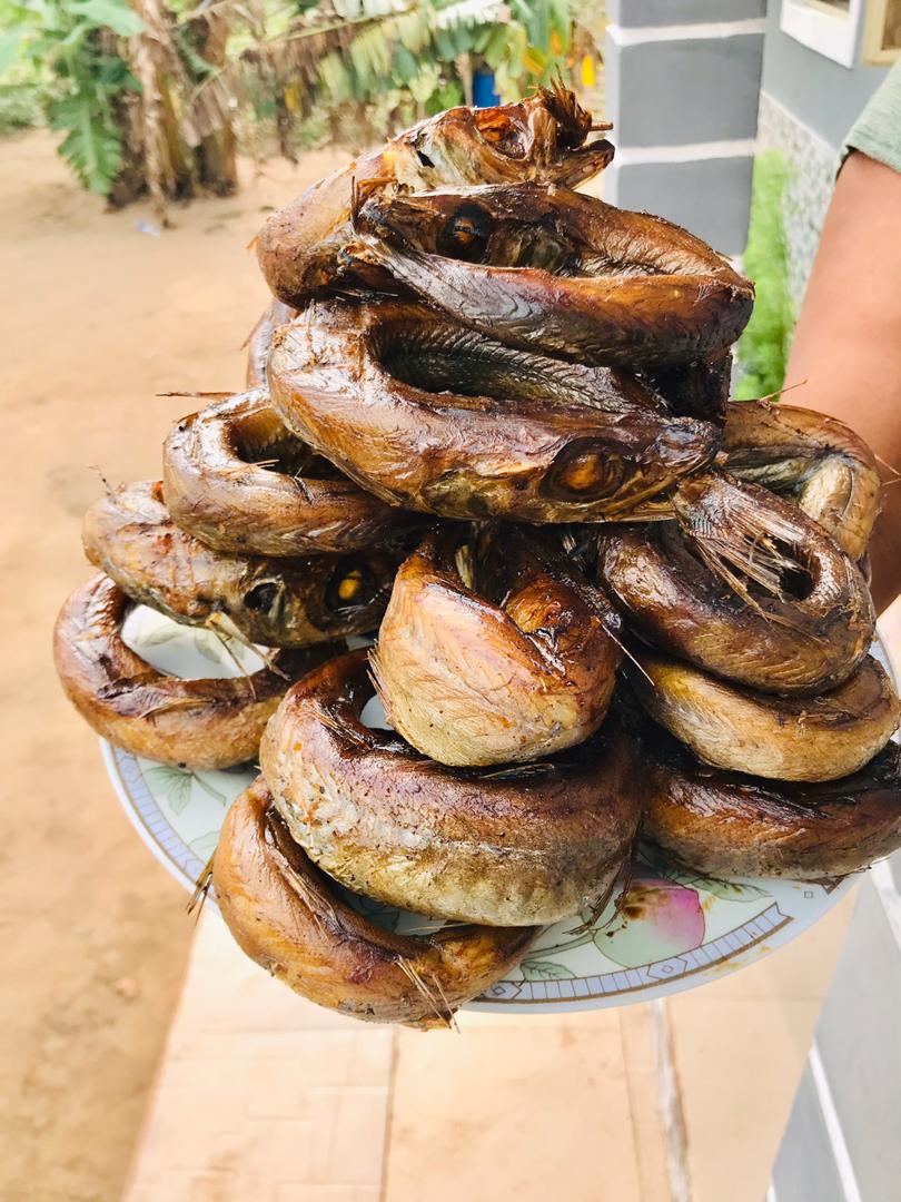 panlafishinbulk's tweet photo. If you bought one of our Fish packs, THANK YOU for making us full-time fish sellers! Told someone about us, thank you even more.
 3ce blessings on you all 💜

DM/Whatsapp 08062685626

Delivery Nationwide 📍

Davido | Mr President | Puig | Ngozi | Benin | Mane | Giggs | Wizkid | https://t.co/hlYi1IjlaN