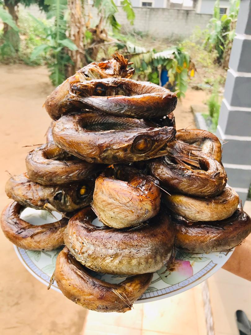 panlafishinbulk's tweet photo. If you bought one of our Fish packs, THANK YOU for making us full-time fish sellers! Told someone about us, thank you even more.
 3ce blessings on you all 💜

DM/Whatsapp 08062685626

Delivery Nationwide 📍

Davido | Mr President | Puig | Ngozi | Benin | Mane | Giggs | Wizkid | https://t.co/hlYi1IjlaN