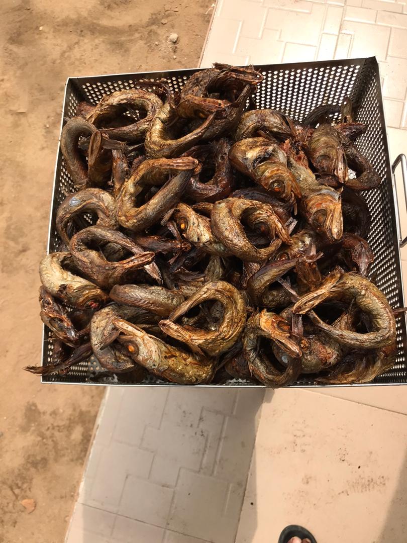 panlafishinbulk's tweet photo. If you bought one of our Fish packs, THANK YOU for making us full-time fish sellers! Told someone about us, thank you even more.
 3ce blessings on you all 💜

DM/Whatsapp 08062685626

Delivery Nationwide 📍

Davido | Mr President | Puig | Ngozi | Benin | Mane | Giggs | Wizkid | https://t.co/hlYi1IjlaN