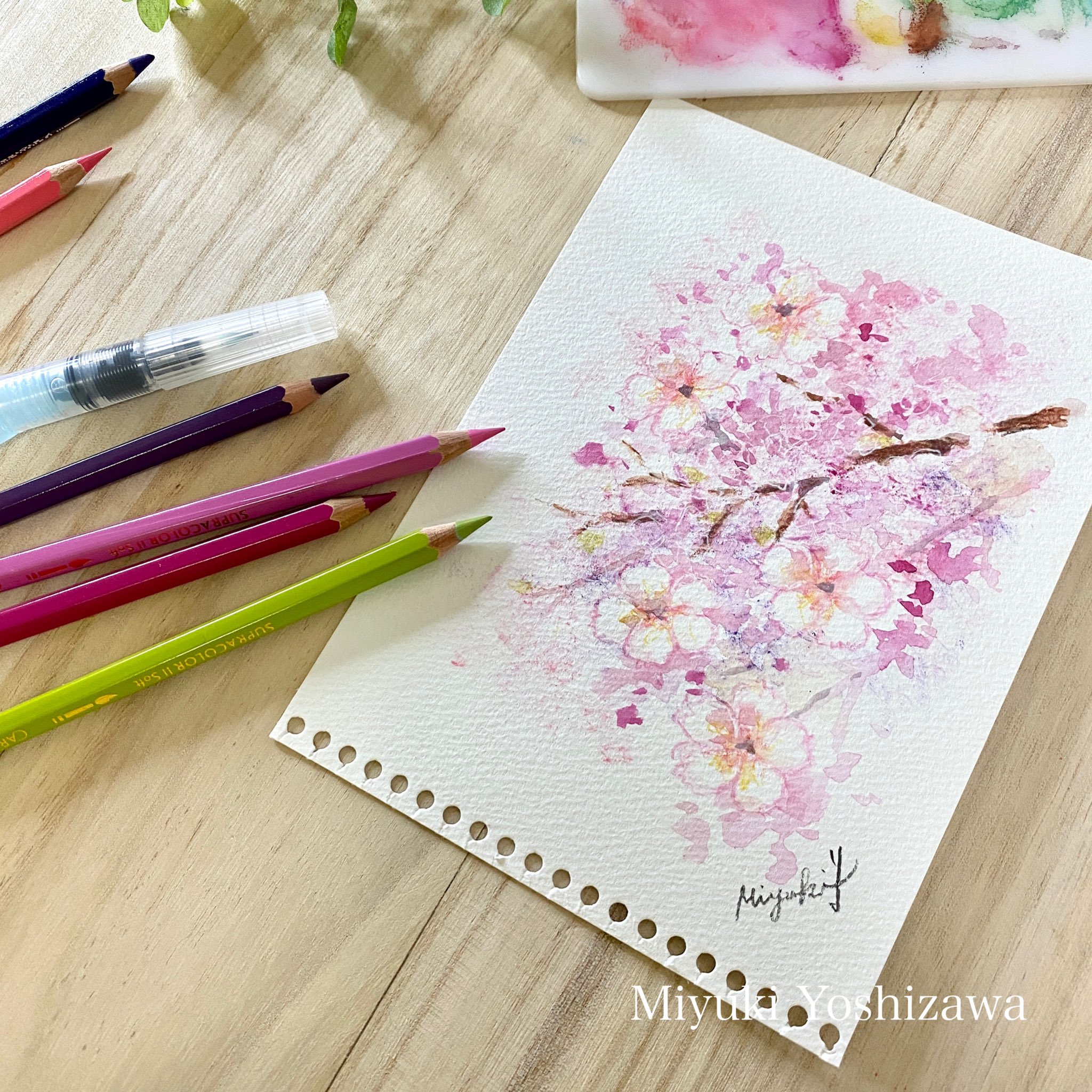 تويتر 吉沢深雪 على تويتر 来月のくろまめクラブは水彩色鉛筆で桜のイラストです ちょっと忙しすぎるので 水彩色鉛筆講座は来月まで ５月からしばらくお休みです 桜 T Co 2s9mul92ml T Co Rfmmooxyxy