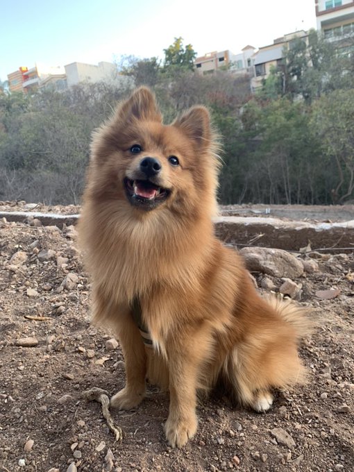 Wonito d&iacute;a https://t.co/GRsajcbGU2