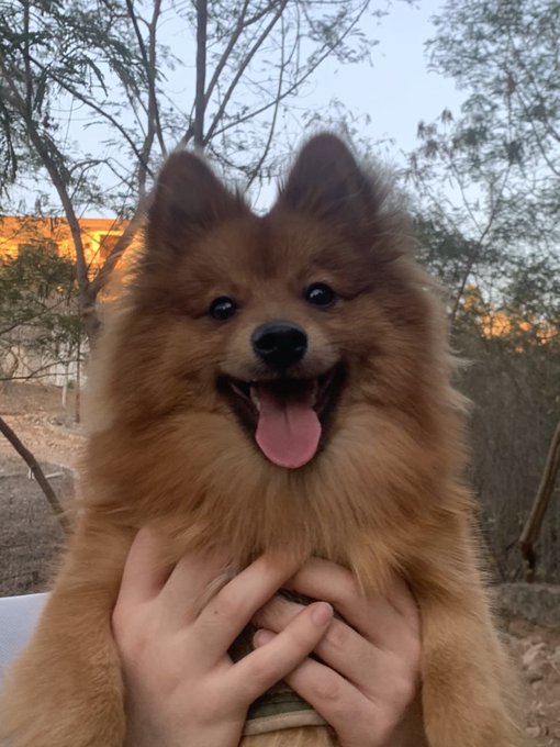 Wonito d&iacute;a https://t.co/GRsajcbGU2