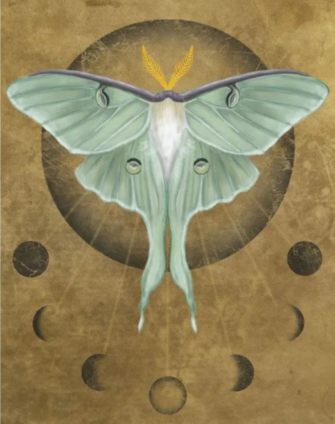 Мотылек Moth Art